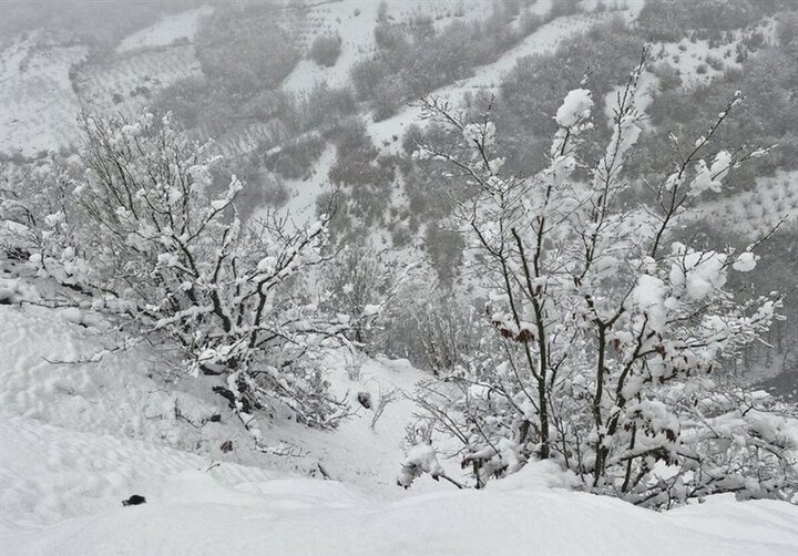 سامانه بارشی جدید در راه لرستان