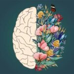 سلامت روان، سنگ‌بنای آرامش در جامعه دانشگاهی است