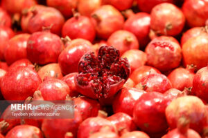 شب یلدا را هوشمندانه بگذارانیم؛ نه پرخوری، نه حذف دورهمی