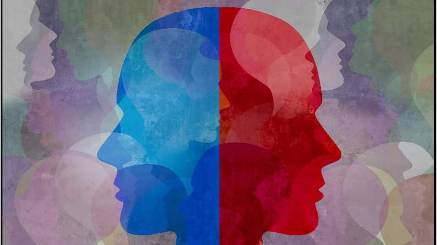 شخصیت ناپایدار چیست؟