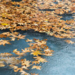 شهردار اصفهان: روان‌آب‌های بارش اخیر کامل مدیریت شد