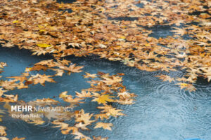 شهردار اصفهان: روان‌آب‌های بارش اخیر کامل مدیریت شد