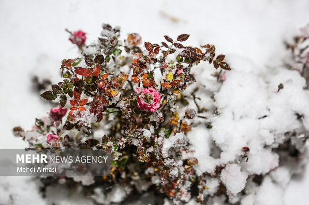 صابری: بارش باران و برف در آذربایجان غربی؛ دما کاهش می یابد