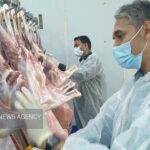 طرح ساماندهی کشتار دام در استان بوشهر اجرا شد