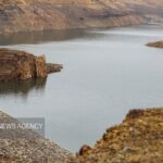 علیدادی سلیمانی: ورودی سدهای استان کرمان افزایش محسوسی داشته است