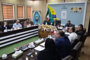 فرماندار دشتی: جایگاه کارگروه اشتغال کم‌اهمیت‌تر از مدیریت بحران نیست