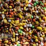 قاتقچی:بازار خرید آجیل برای شب یلدا در بجنورد راکد است