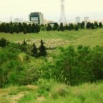 قرنطینه موقت مرکز بازپروری پردیسان به دلیل شیوع ویروس «پن‌لوکوپنی»