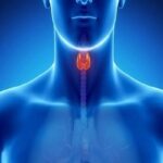 مراقب خرابی «پدال گاز» بدن باشید