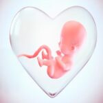 مرکز «نفس» میناب آغاز به کار کرد