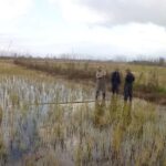 ممنوعیت شکار پرندگان وحشی در گیلان؛ ۴۲ رشته دام هوایی جمع آوری شد