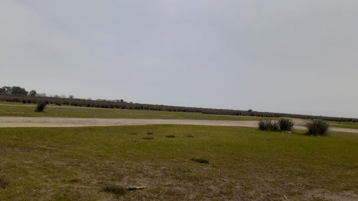 میانکاله تشنه، خشک و منتظر تدبیر