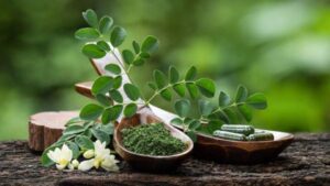 ناشتا آب موریگانا بخورید چربی و قند خون تنظیم می شود