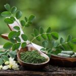 ناشتا آب موریگانا بخورید چربی و قند خون تنظیم می شود