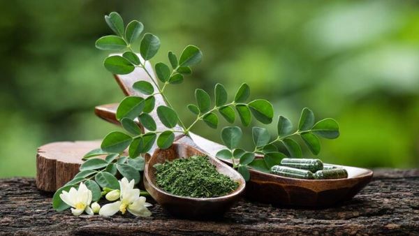 ناشتا آب موریگانا بخورید چربی و قند خون تنظیم می شود