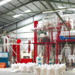 نظارت میدانی بر کیفیت آرد و نان در کنگاور