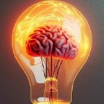 نوروساینس عاطفی (Affective Neuroscience) چیست ؟