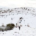 هم اکنون گردنه اسدلی بجنورد