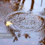 هواشناسی: استان اصفهان ۶۱ درصد کاهش بارندگی دارد