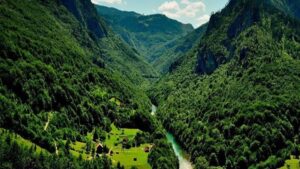 پایدار: جنگل‌های هیرکانی هویت فرهنگی و میراث ملی است