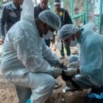 پایش بیماری آنفلوآنزای پرندگان در بوشهر انجام شد