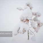 پوشش برفی حوضه‌های آبریز آذربایجان غربی به ۱۰!هزار کیلومتر مربع رسید