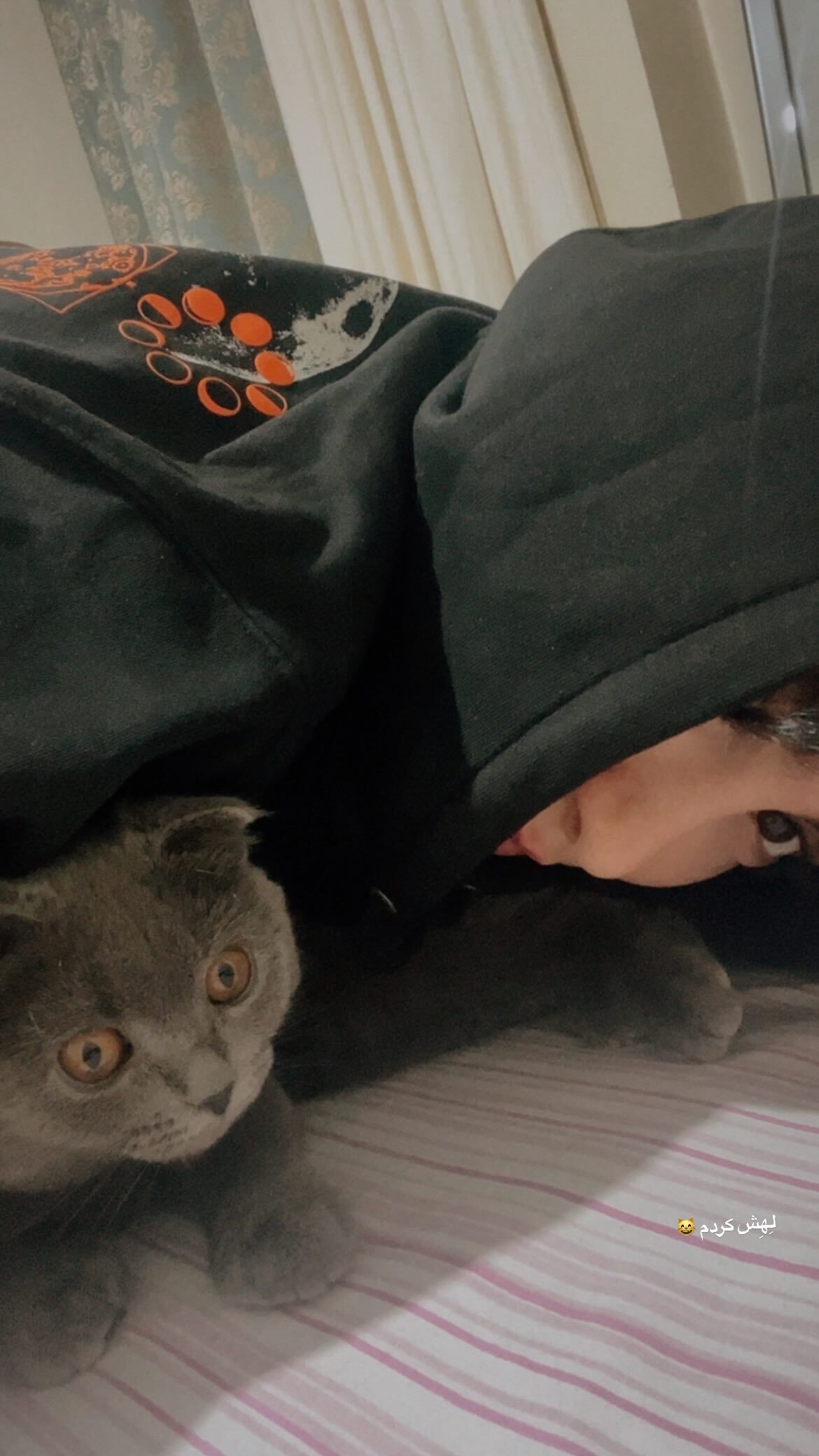 ژست بامزه سارای سریال پایتخت با حیوان خانگیاش ژست بامزه سارای سریال پایتخت با حیوان خانگیاش