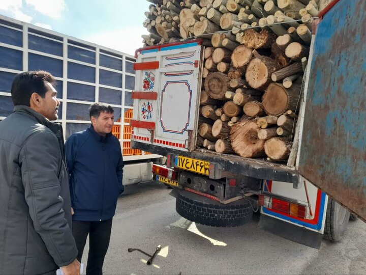 مفاخری خبر داد؛ کشف محموله قاچاق چوب بید در کامیاران