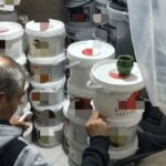 کشف ۱۵۴ کیلوگرم ژله قنادی منقضی در قم