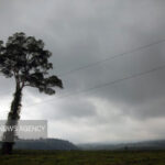 یخ‌بندان در استان سمنان؛ دمای هوا زیر صفر ماند