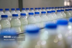 یونسی: ۱۷ میلیون کیلوگرم انواع فرآورده‌های لبنی از مازندران صادر شد