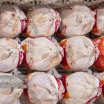 ۱۶۰۰ تن گوشت مرغ در لرستان تولید و عرضه شد