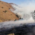 آتش‌سوزی محدود در غرب صیدگاه میان‌قلعه میانکاله مهار شد