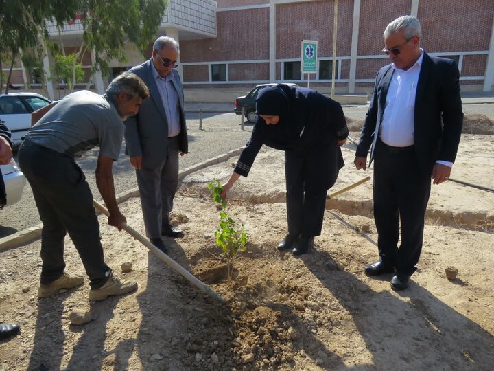 اجرای پویش درختکاری در ۸ نقطه استان سمنان به مناسبت روز پدر