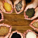 از خوردن این دانه های خوراکی غافل نشوید!