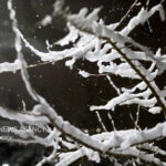 اصحابی: کاهش محسوس دما و بارش برف ارتفاعات گلستان را دربرمی‌گیرد