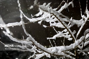اصحابی: کاهش محسوس دما و بارش برف ارتفاعات گلستان را دربرمی‌گیرد