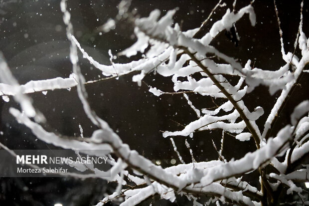 اصحابی: کاهش محسوس دما و بارش برف ارتفاعات گلستان را دربرمی‌گیرد