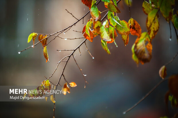 افزایش ابر و آغاز بارش‌ها در قزوین از روز شنبه