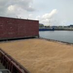 بابایی: نهاده‌های دامی گیلان با نظارت دقیق ترخیص می شوند