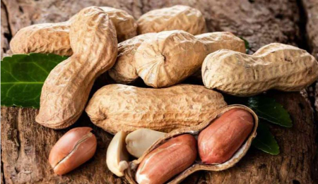 بادام زمینی‌تان بوی کهنگی می‌دهد؟ این ترفندها معجزه می‌کنند!