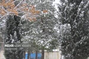 بارش برف و باران در راه استان ایلام