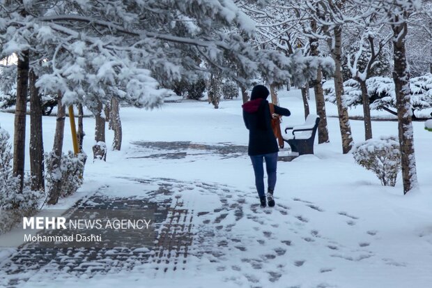 بارش برف و باران زودگذر در اردبیل؛ یخبندان گسترده از شنبه