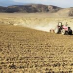 باقری: ضریب نفوذ بذر گواهی‌شده گندم در مازندران به بیش از ۴۰ درصد رسید