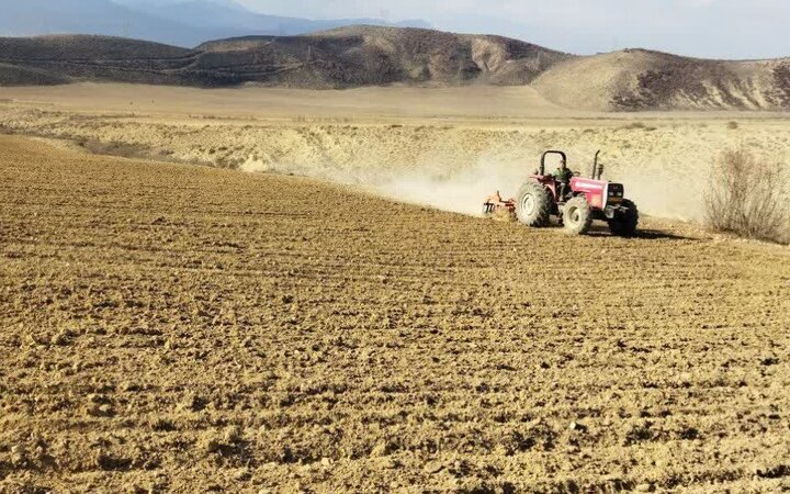 باقری: ضریب نفوذ بذر گواهی‌شده گندم در مازندران به بیش از ۴۰ درصد رسید