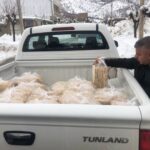 بخشدار ننور: توزیع آرد و نان در روستاهای کم‌برخوردار انجام شد