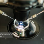 تأثیر مصرف دخانیات و الکل بر بارداری و موفقیت IVF