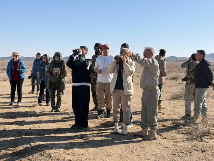 تور تخصصی پرنده‌نگری در شاهرود؛ طبیعت‌گردی مسئولانه در پارک ملی توران