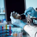 سازمان انتقال خون می تواند محور توسعه بانک سلول‌های بنیادی باشد