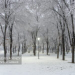 شرایط یخبندان در استان ایلام همچنان حاکم است